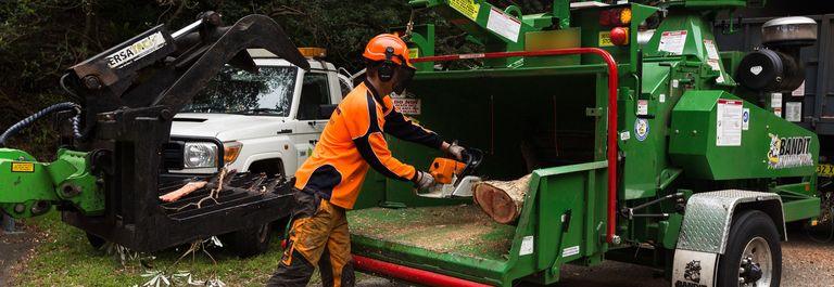 Tree Lopping Services